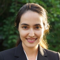Parisa Kamali