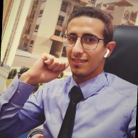 Ali Hesham Mostafa