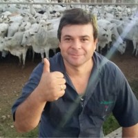 Cleir Vieira Martins Junior