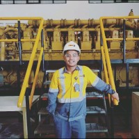 Dedy Senolinggi