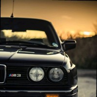 martin van den Bergh