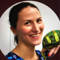 Heather Grund DVM, PhD
