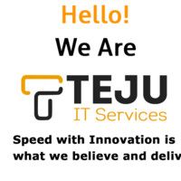 Teju IT Services