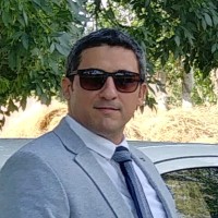 Mehdi Mostafavi