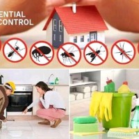 PEST CONTROL