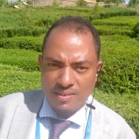 TARIKU LEGESSE