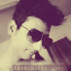 ZAYN MALIK ANSARI