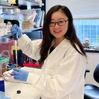Dan Li