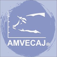 AMVECAJ AC