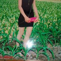 Võ Minh Trí