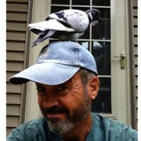 Tom Brannon