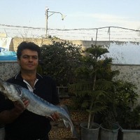 Mohammad Hatefi