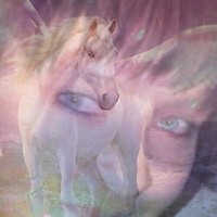 Jacky Louw