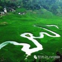王杨杰