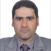 Amin Sandoghdar