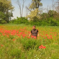 Alexander Bulanov