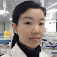 Tianqing Song