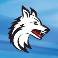 White Wolf Group Inc.