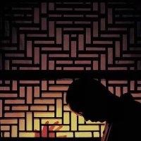 王苏飞