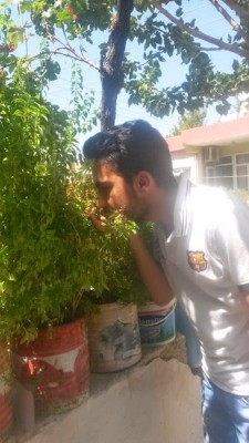 Yunus Demir