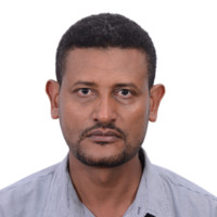 Birhanu Sahelie