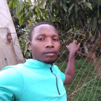 stephen mumu