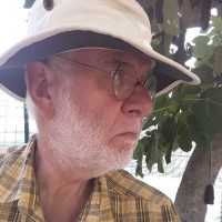 Geer Steyn