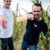 Louis-André Toulotte - Co-Founder Hank Drinks 🥤/ Expert Cannabinoïdes 🌿