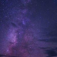 姬星星