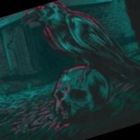 ΔΗΜΗΤΡΗΣ ΦΛΑΣΚΟΣ