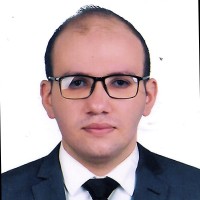 Abdelrahman Hassan Abdelhamid