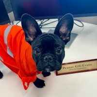 Peanut Gill-Evans