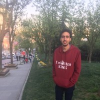 Bassem M Elsayed