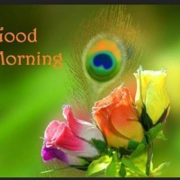 k v s n murthy murthy