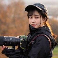 Ningjing Wang