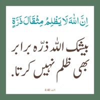 Mohammedharoon Abdul Salam