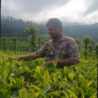 Nallani Vamsi