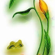 May Thitsar