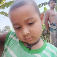 Sabuj Ray