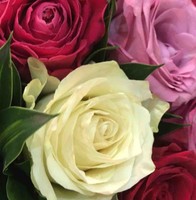 مشاري الدوسري