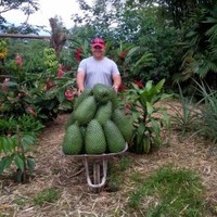 Daniel Andrade Nunez