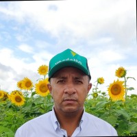 Fausto Silva