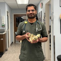 Dr. Hafiz Muhammad Sajid, DVM