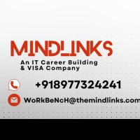 IT Consulting MiNdLiNkS