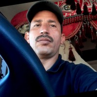 ali abid