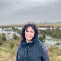 Violet Klaver