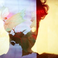 Arnoud Lievers