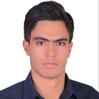 Abolfazl Mirzaei