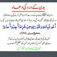 Danish Nizan