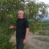 Николай Арцебашев